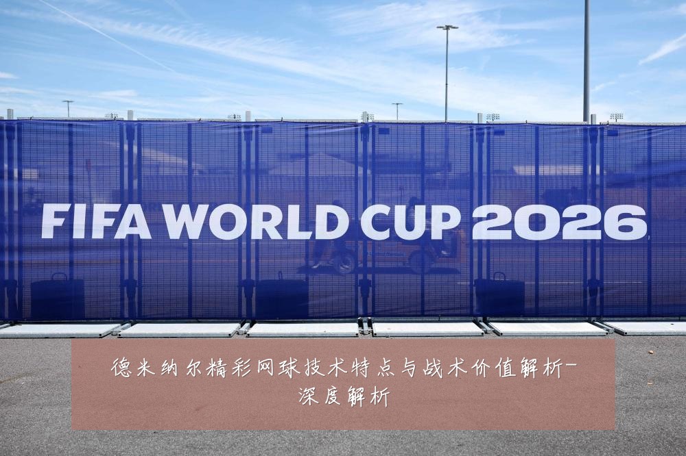 德米纳尔精彩网球技术特点与战术价值解析-深度解析